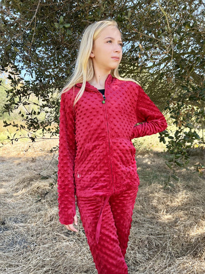 girls minky zip hoodie and jogger pant set